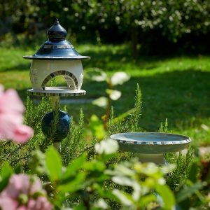 Vogelhaus und Tränke im Garten