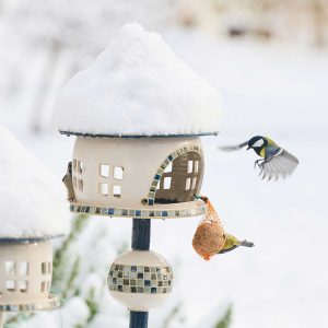 vogelhaus winter
